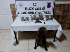 Elazığ’da uyuşturucu operasyonu:2 gözaltı