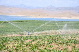 4 ilde 532 bin 512 dekar tarım arazisi sulandı